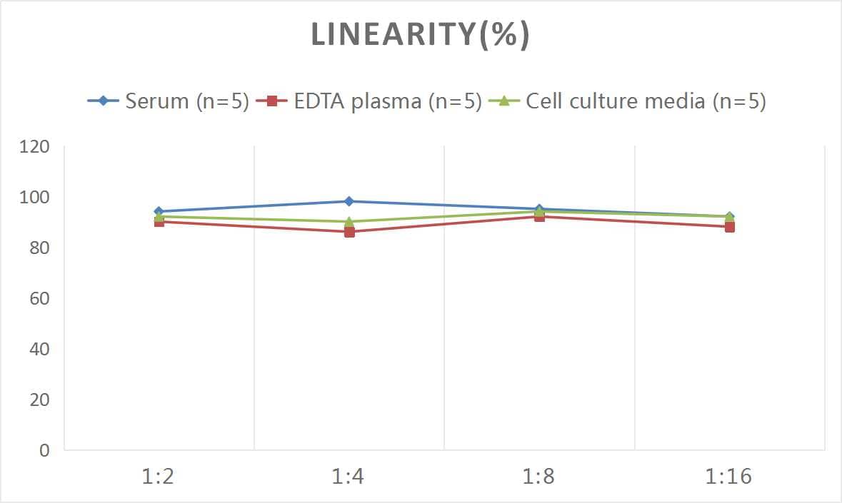 Mouse Hexosaminidase A/HEXA ELISA Kit (Colorimetric)