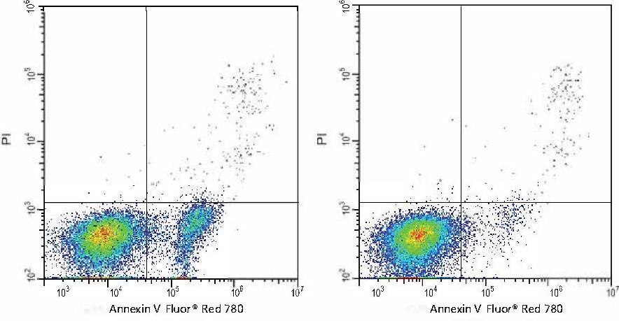 Annexin V Apoptosis Kit [Far Red, 780] Application: Annexin V Apoptosis Kit [Far Red, 780] [NBP3-50207]