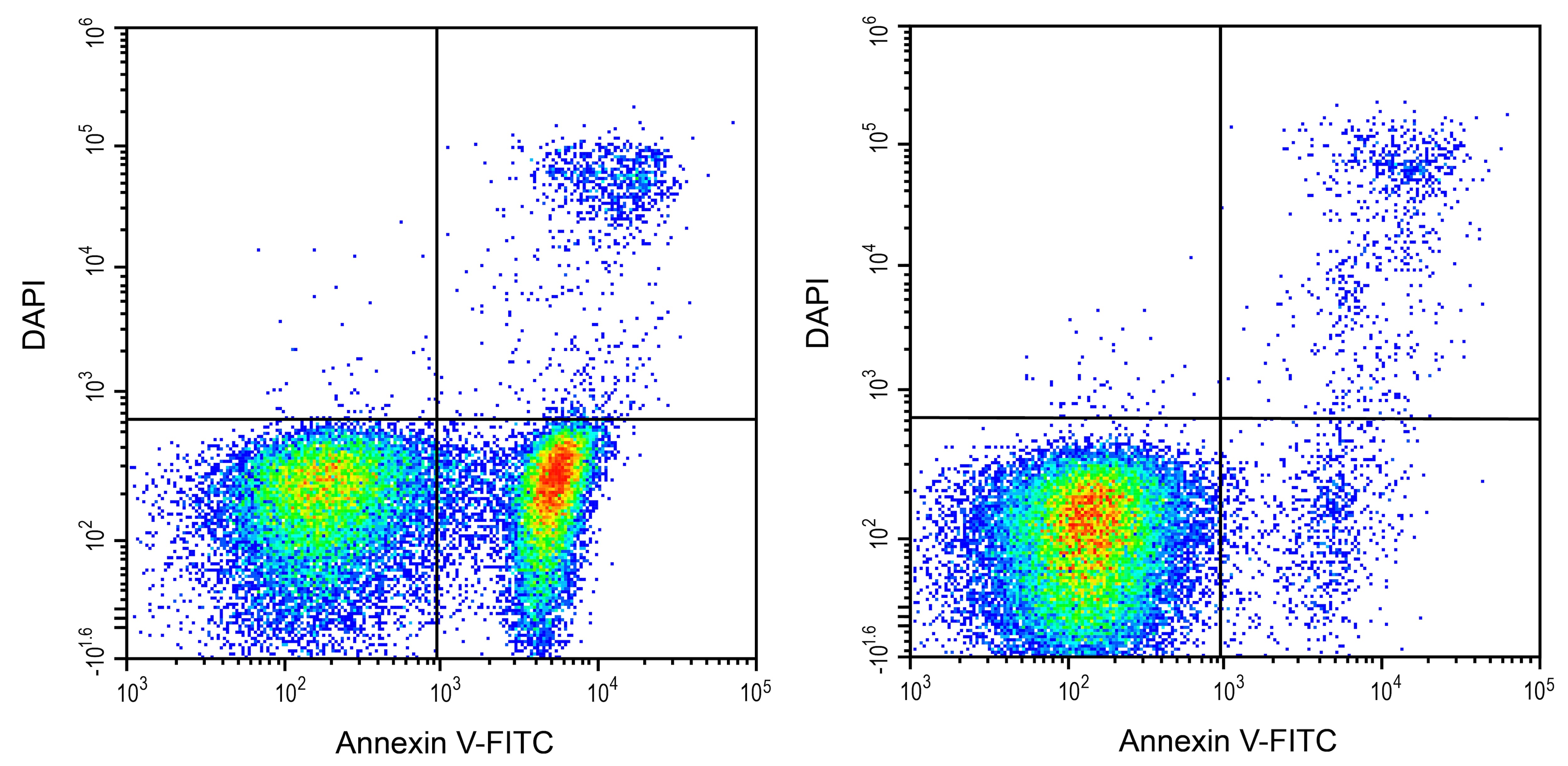 Annexin V Apoptosis Kit [FITC] Application: Annexin V Apoptosis Kit [FITC] [NBP3-50220]