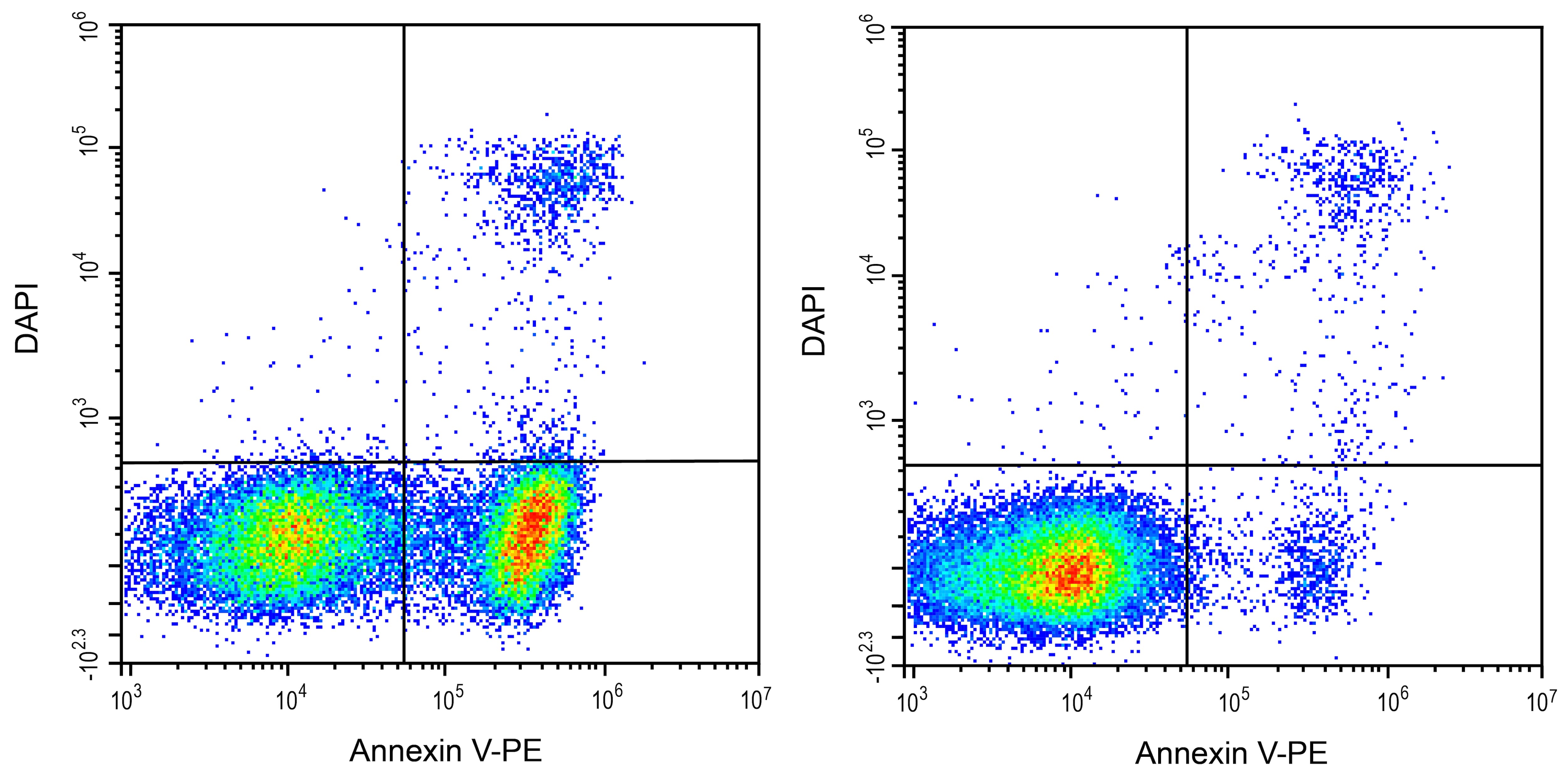 Annexin V Apoptosis Kit [PE] Application: Annexin V Apoptosis Kit [PE] [NBP3-50221]