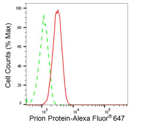 PrPC Antibody (23GB1945)