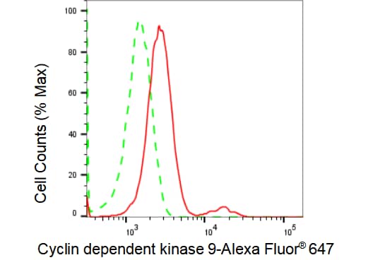 Cdk9 Antibody (23GB1325)