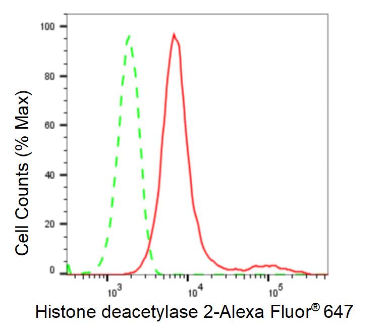 Histone Deacetylase 2/HDAC2 Antibody (23GB2900)