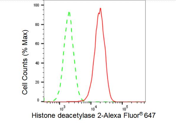 Histone Deacetylase 2/HDAC2 Antibody (23GB2655)