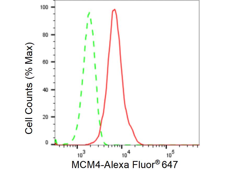 MCM4 Antibody (23GB2495)