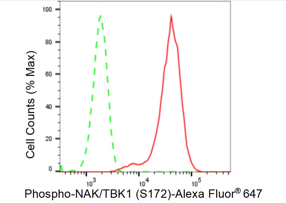 TBK1 [p Ser172] Antibody (23GB2725)