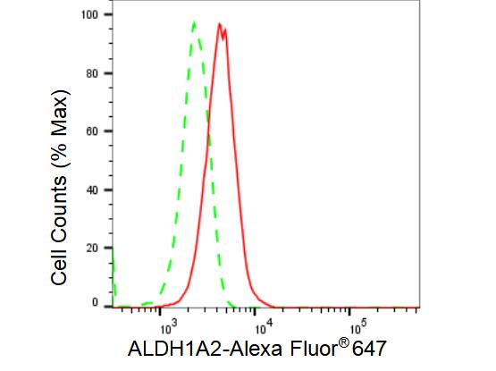 ALDH1A2 Antibody (23GB3640)