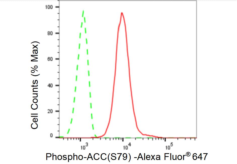 Acetyl-CoA Carboxylase alpha/ACACA [p Ser79] Antibody (23GB3865)