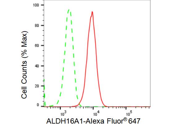 ALDH16A1 Antibody (23GB4315)
