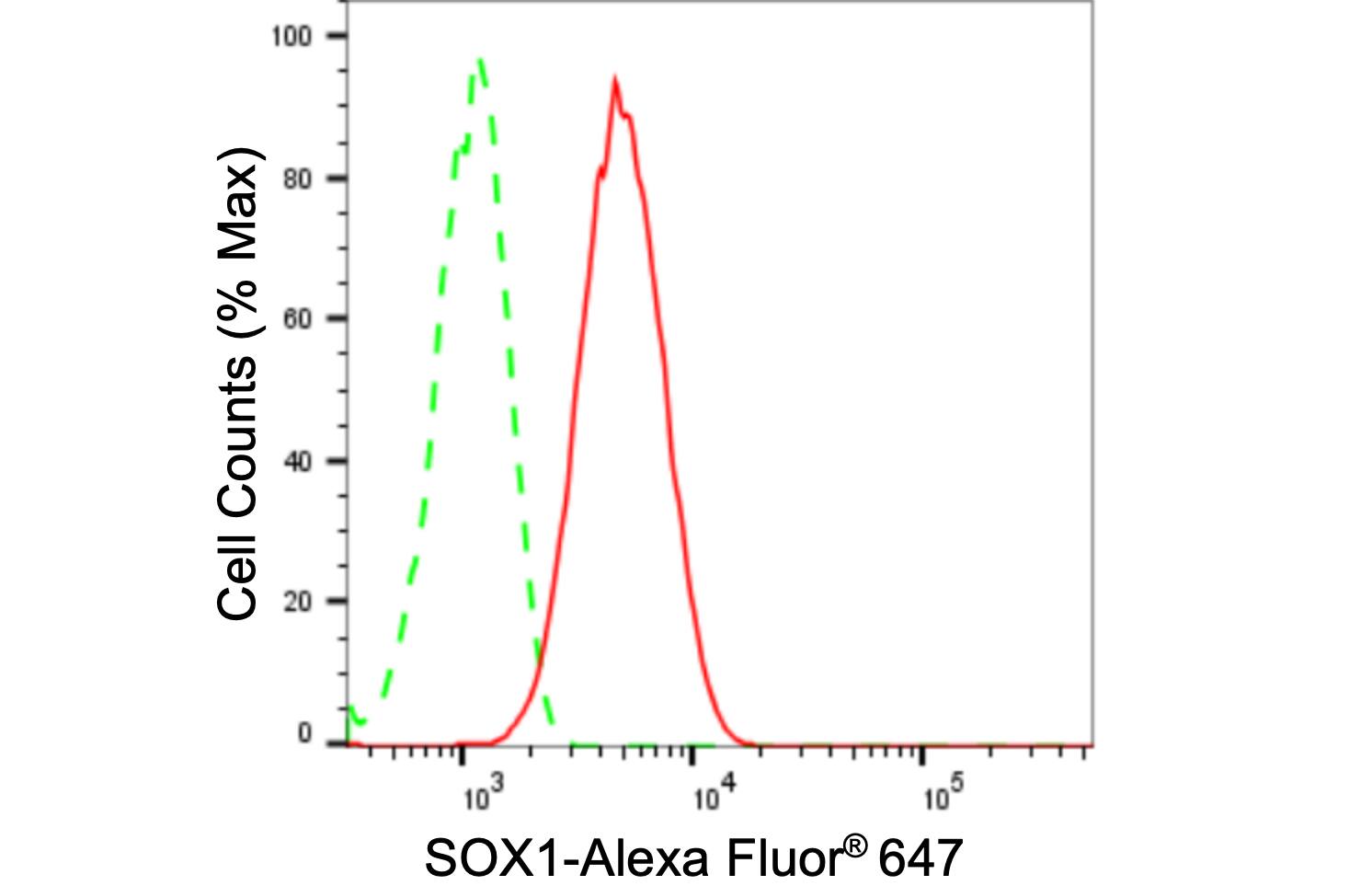 SOX1 Antibody (24GB2080)
