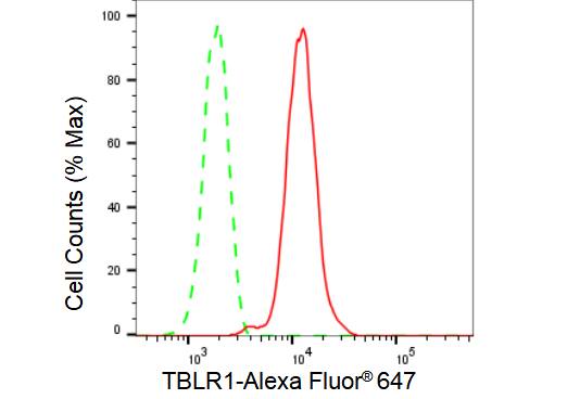 TBLR1 Antibody (23GB4935)