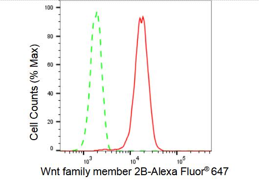Wnt-2b Antibody (23GB4930)