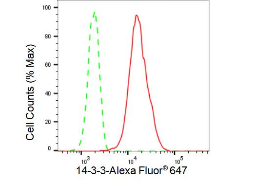 14-3-3 zeta/beta Antibody (23GB4830)