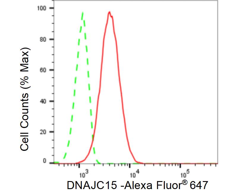 DNAJC15 Antibody (23GB5160)
