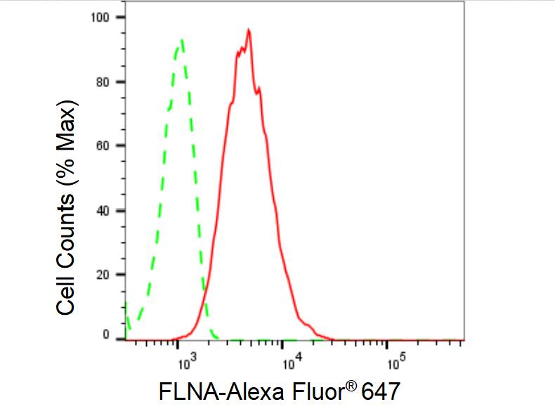 Filamin A Antibody (23GB5430)