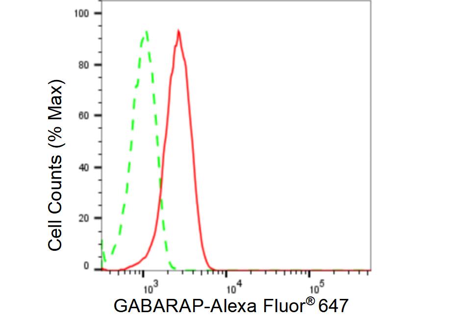 GABARAP Antibody (23GB5490)