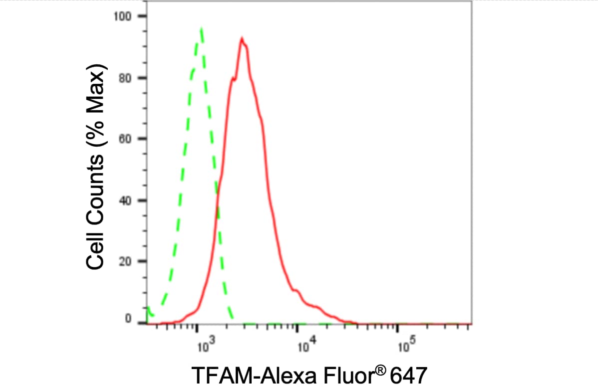mtTFA Antibody (24GB4085)