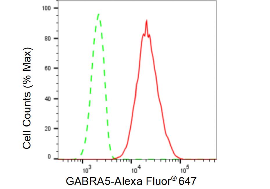 GABA-AR alpha 5 Antibody (23GB5505)