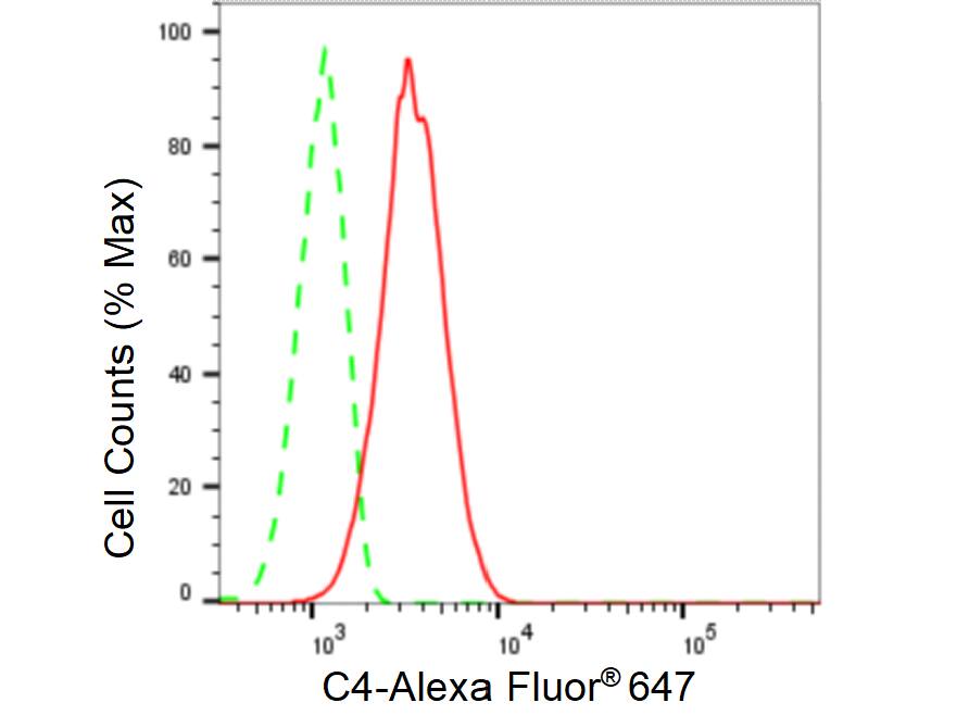 Complement C4 Antibody (23GB4985)
