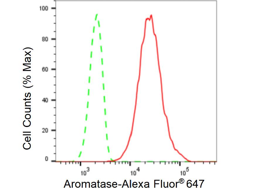 Aromatase Antibody (23GB5770)