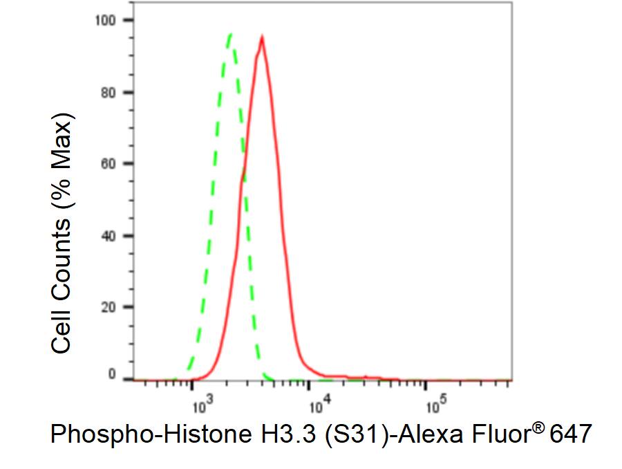 Histone H3.3 [p Ser31] Antibody (23GB6015)