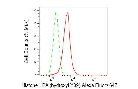 Histone H2a [Hydroxy Tyr39] Antibody (23GB6085)