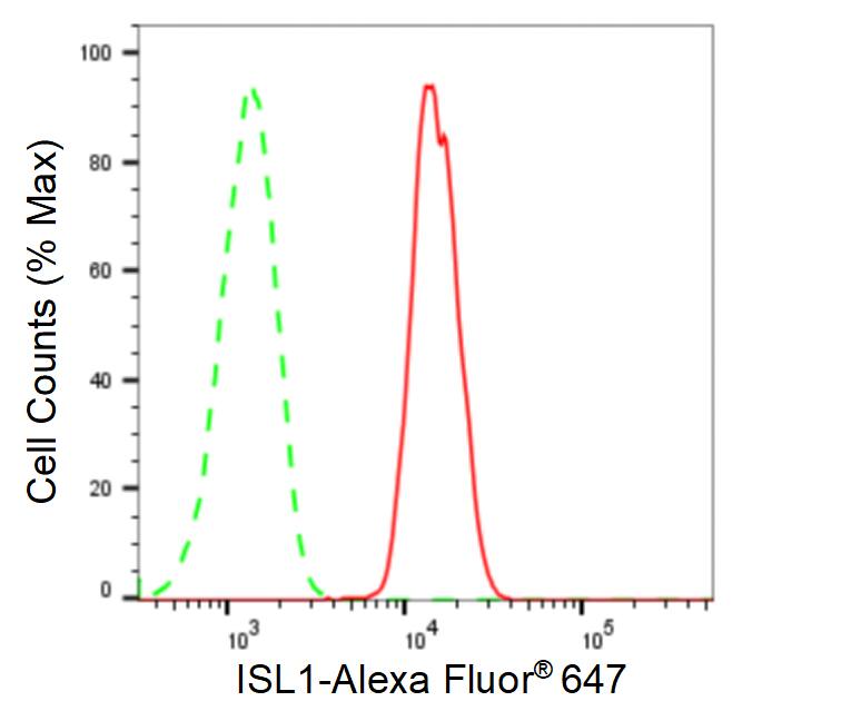 Islet-1 Antibody (23GB6115)