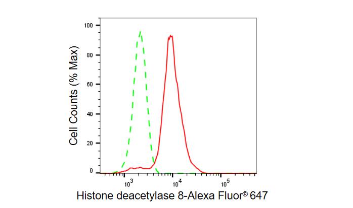 Histone Deacetylase 8/HDAC8 Antibody (23GB6180)