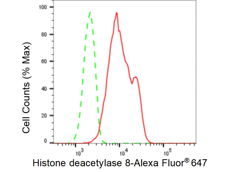 Histone Deacetylase 8/HDAC8 Antibody (23GB6185)