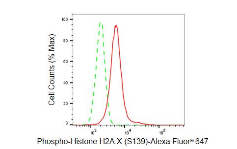 Histone H2AX [p Ser139] Antibody (23GB6200)