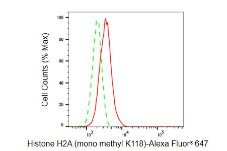Histone H2a [Monomethyl Lys118] Antibody (23GB6330)