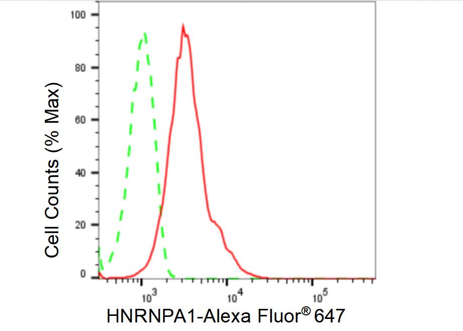 hnRNP A1 Antibody (23GB6575)