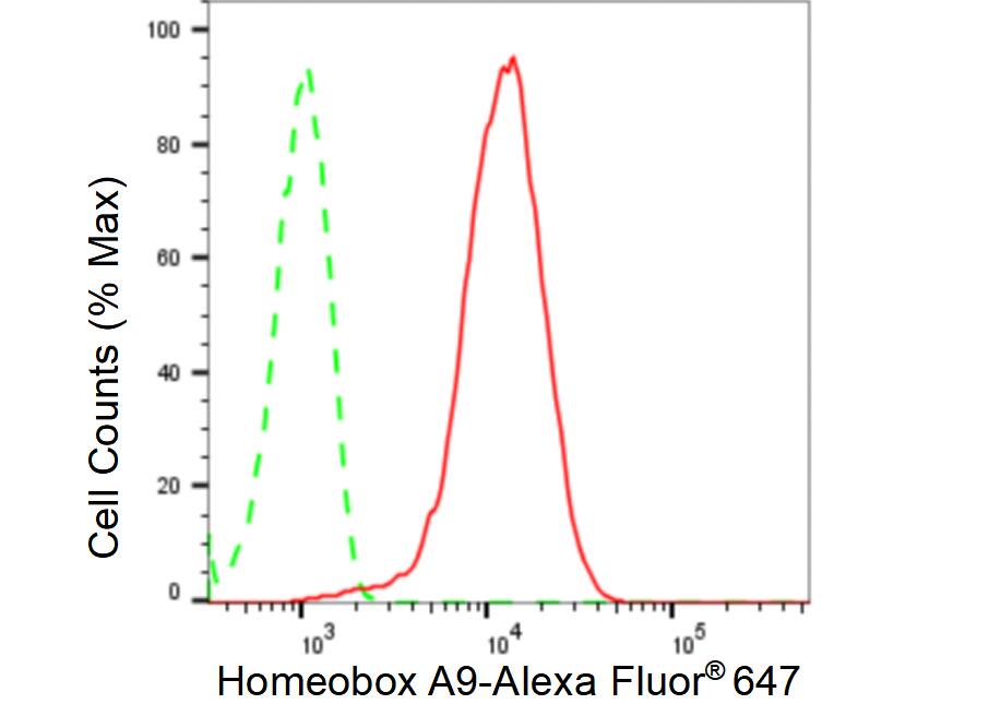 HOXA9 Antibody (23GB6645)