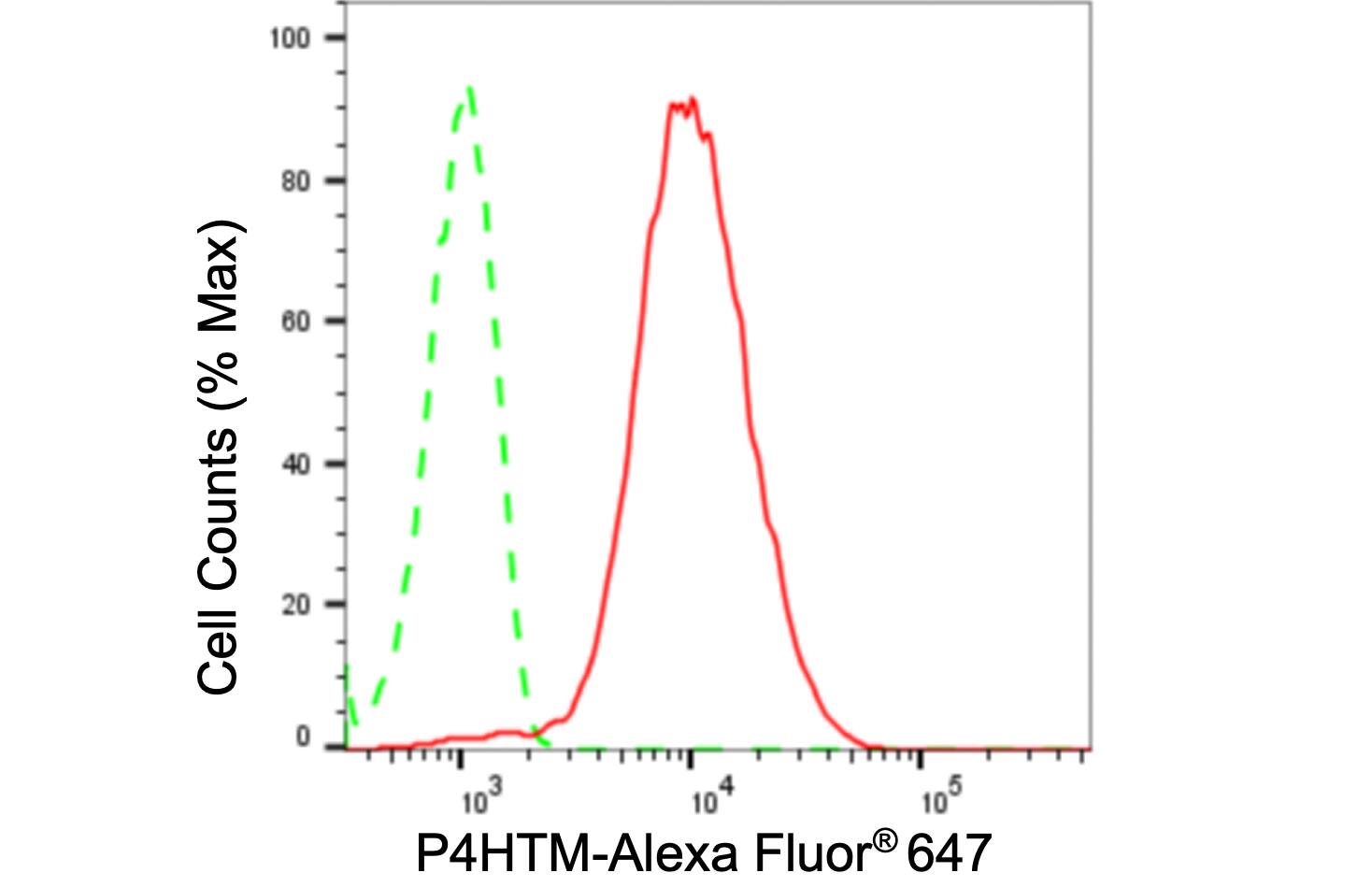 PHD4/HIF Prolyl Hydroxylase 4 Antibody (24GB100)