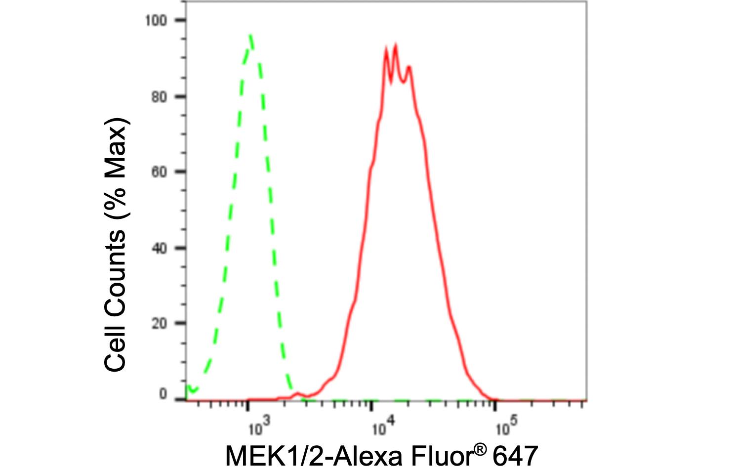 MEK1/2 Antibody (24GB175)