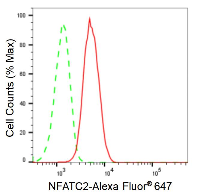 NFATC2/NFAT1 Antibody (24GB360)