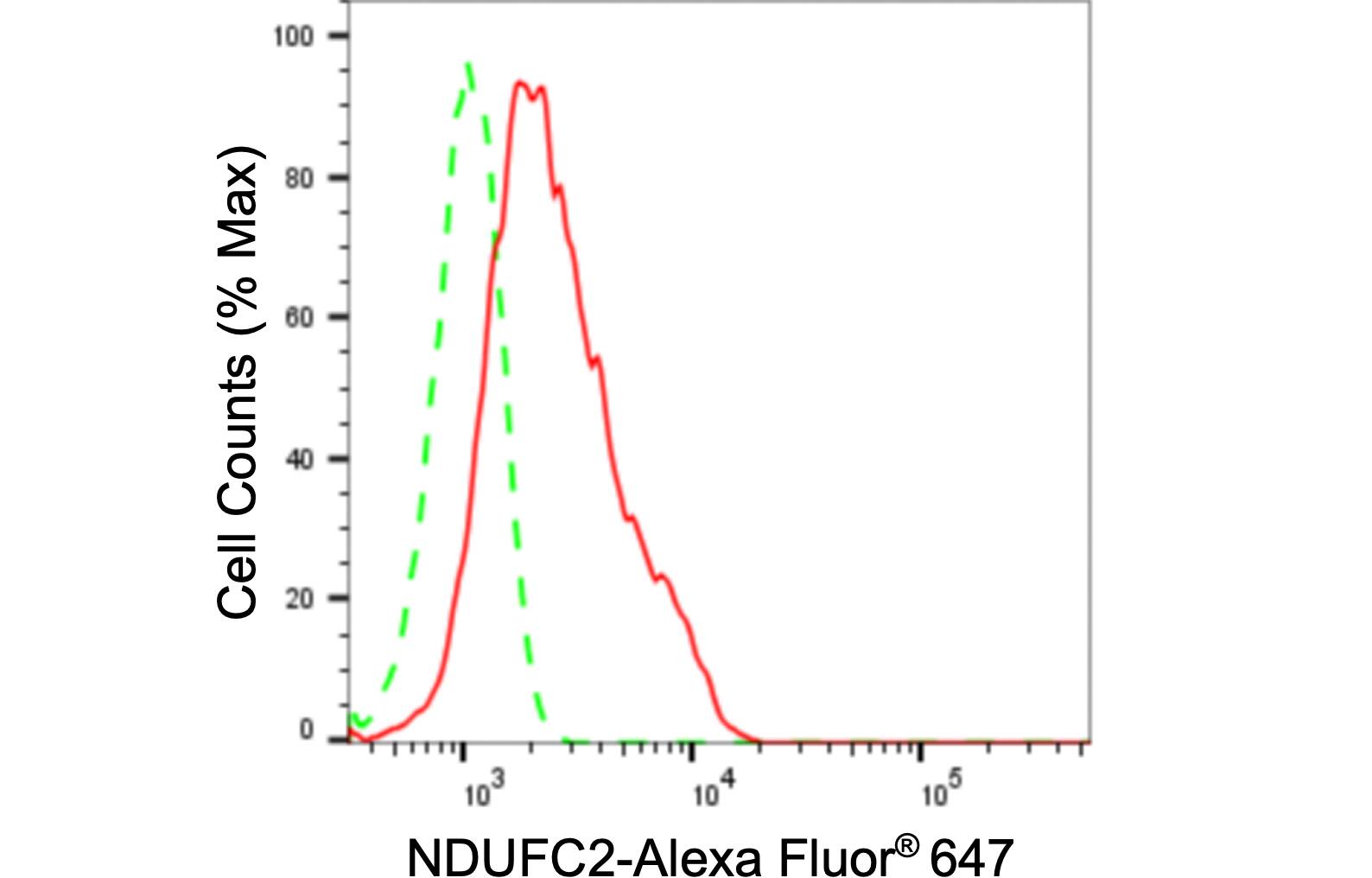 NDUFC2 Antibody (24GB505)