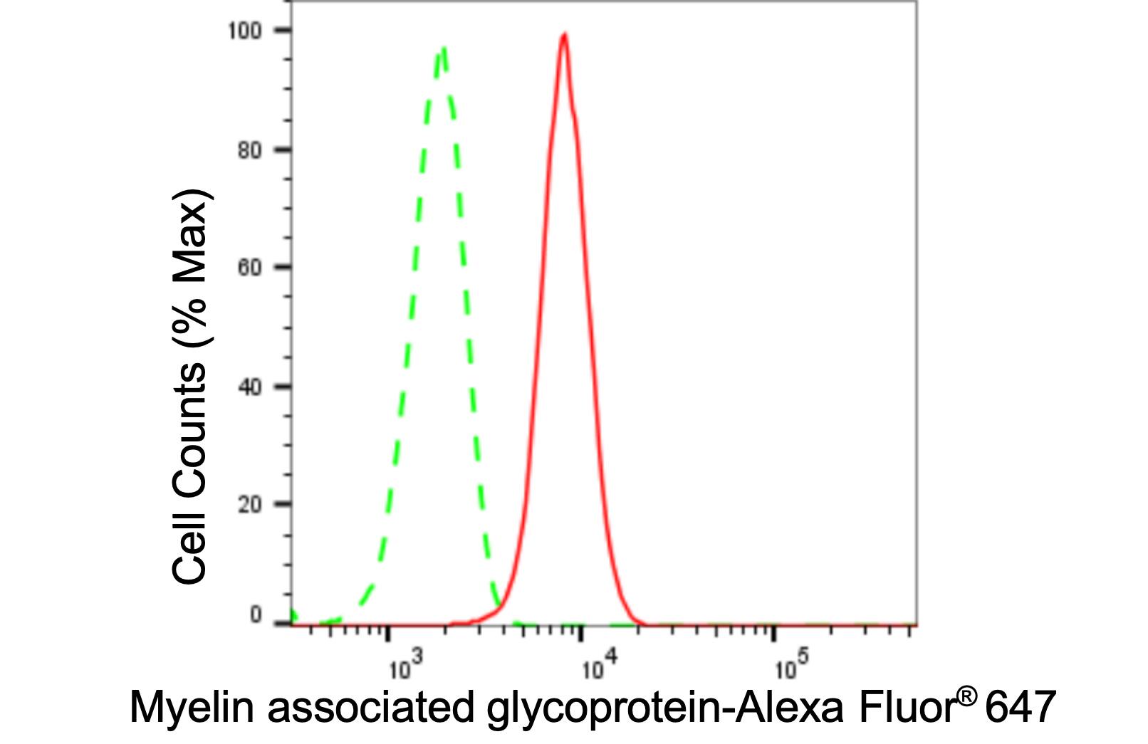 MAG/Siglec-4a Antibody (24GB525)