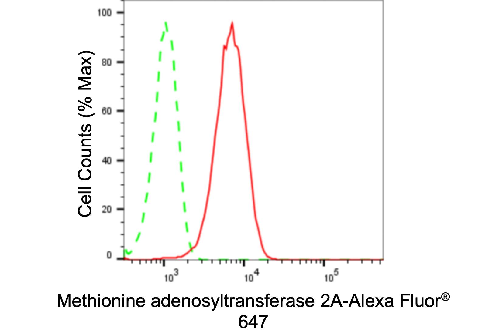 MAT2A Antibody (24GB530)