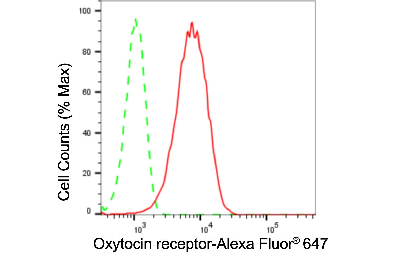 OXTR Antibody (24GB560)