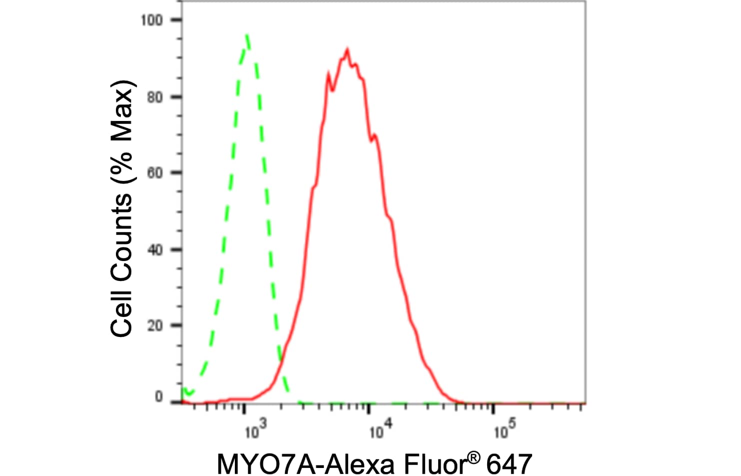 Myosin VIIa Antibody (24GB665)