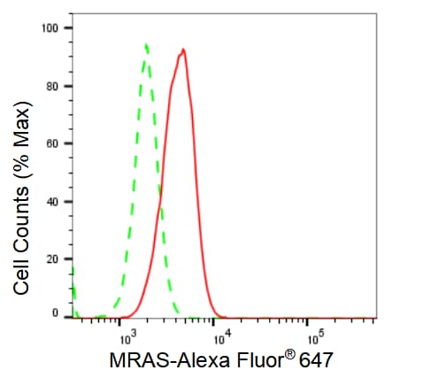 M-Ras/R-Ras3 Antibody (23GB2150)