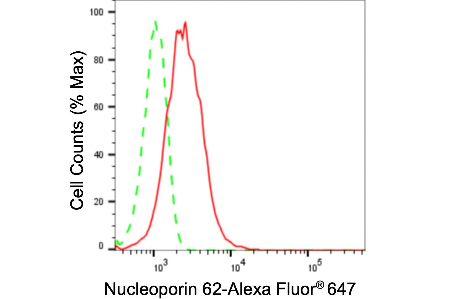 NUP62 Antibody (24GB700)