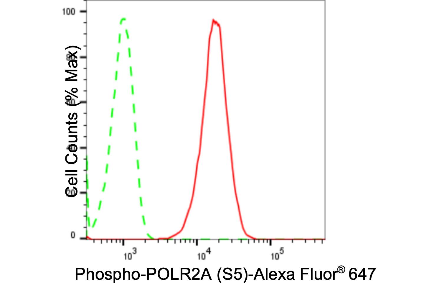 RNA Polymerase II/POLR2A [p Ser5] Antibody (24GB1180)