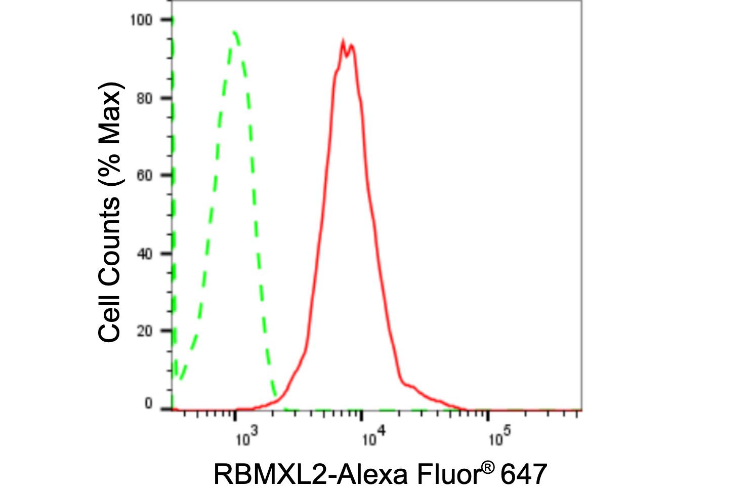 HNRPGT Antibody (24GB1355)