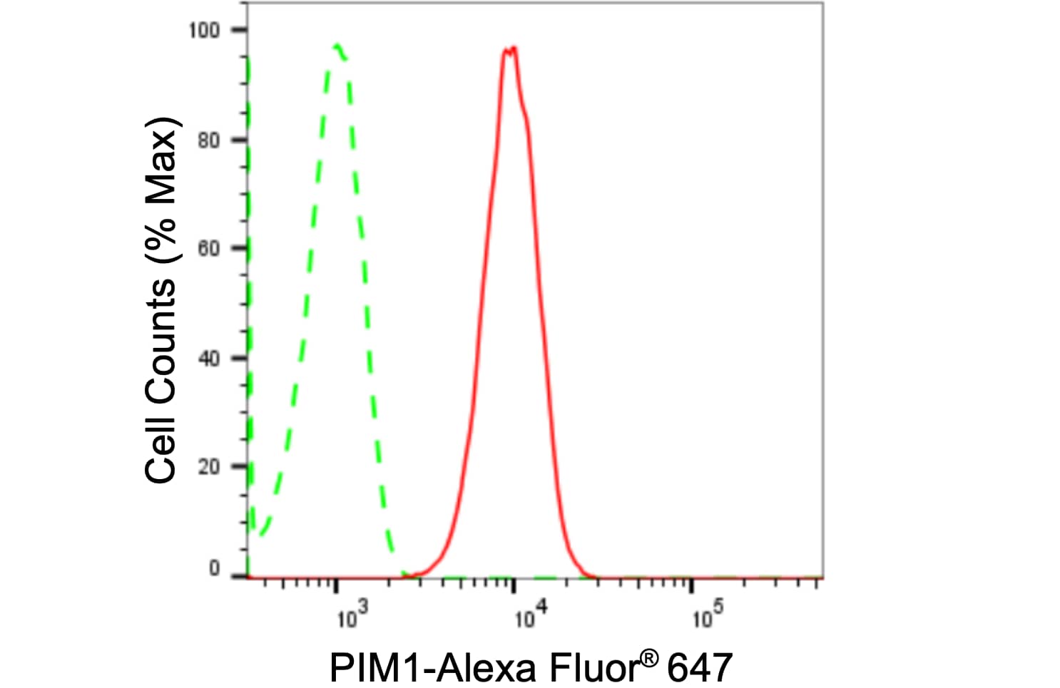 PIM1 Antibody (24GB1410)