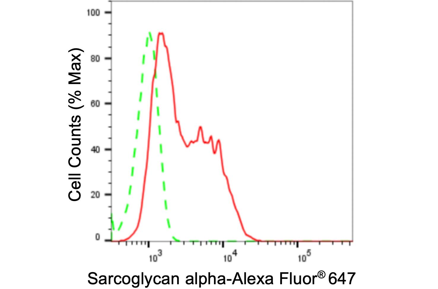 alpha-Sarcoglycan Antibody (24GB1460)