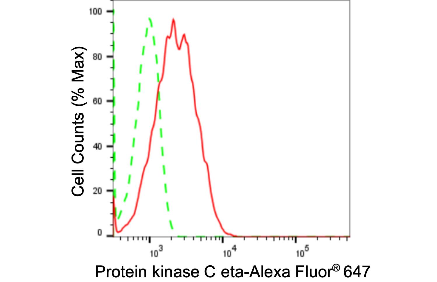 PKC eta Antibody (24GB1480)