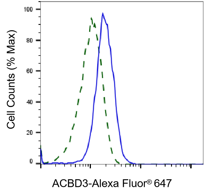 ACBD3 Antibody (23GB3620)