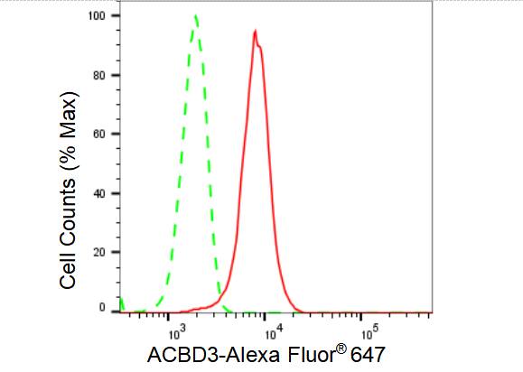 ACBD3 Antibody (23GB3620)